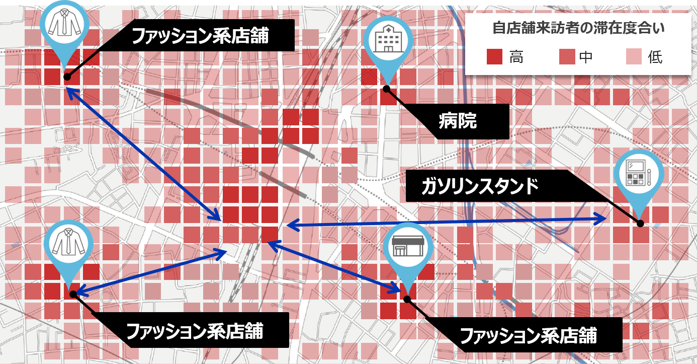 回遊調査